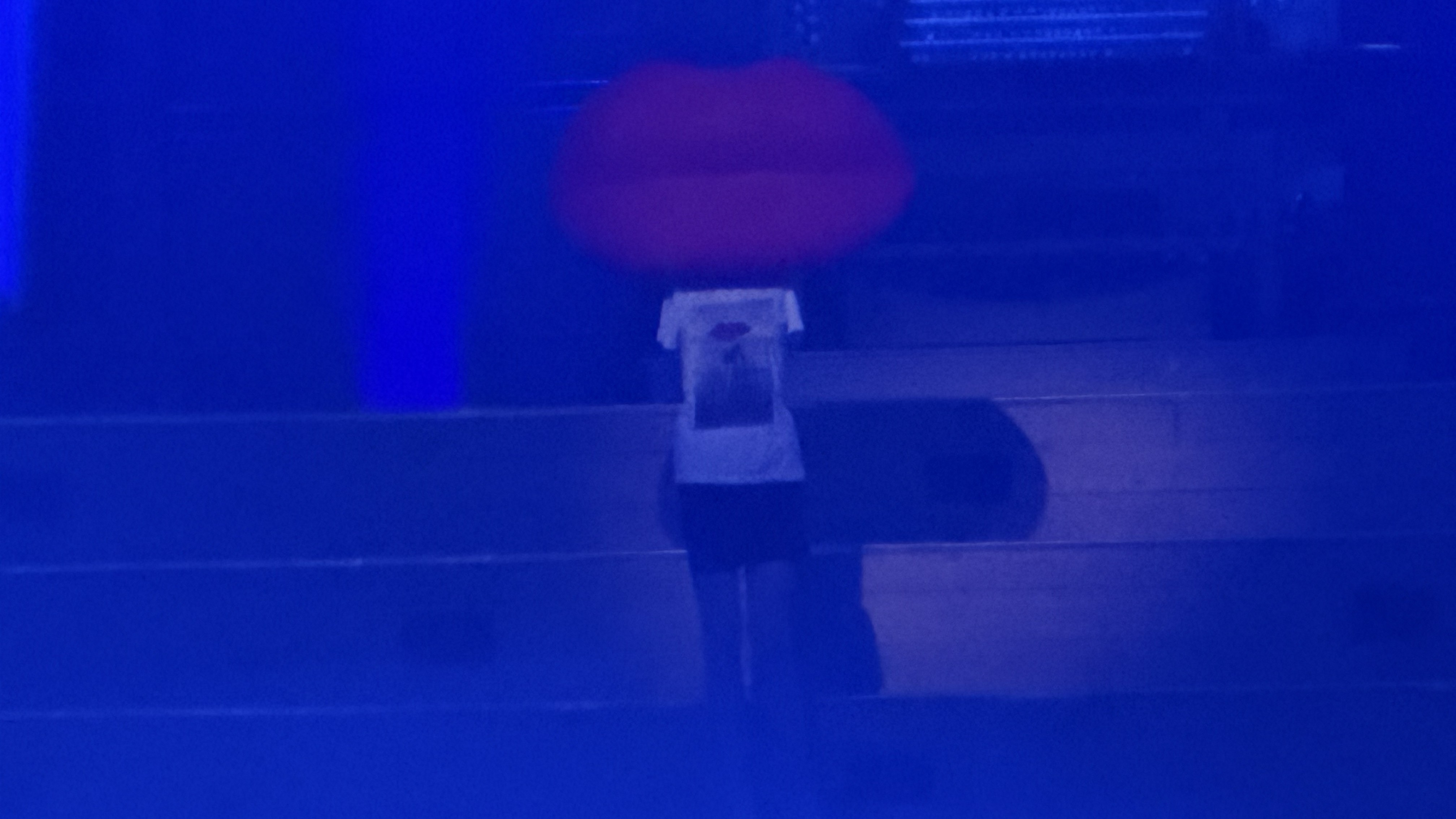 Garbage (2024) photo 2